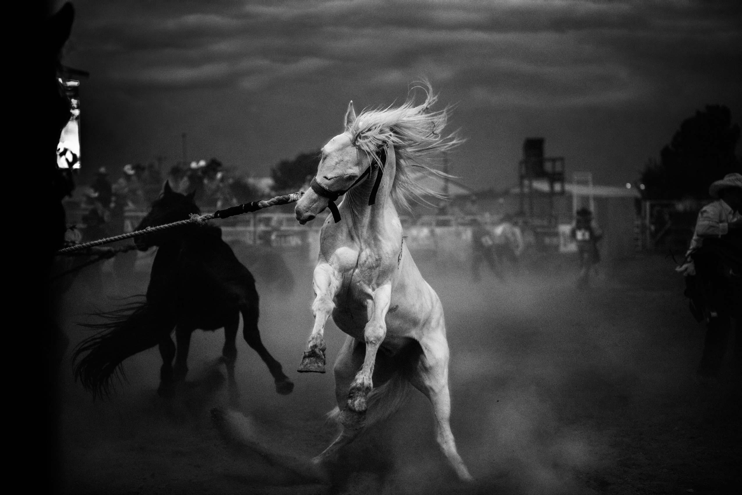 01_MilesCityBuckingHorse