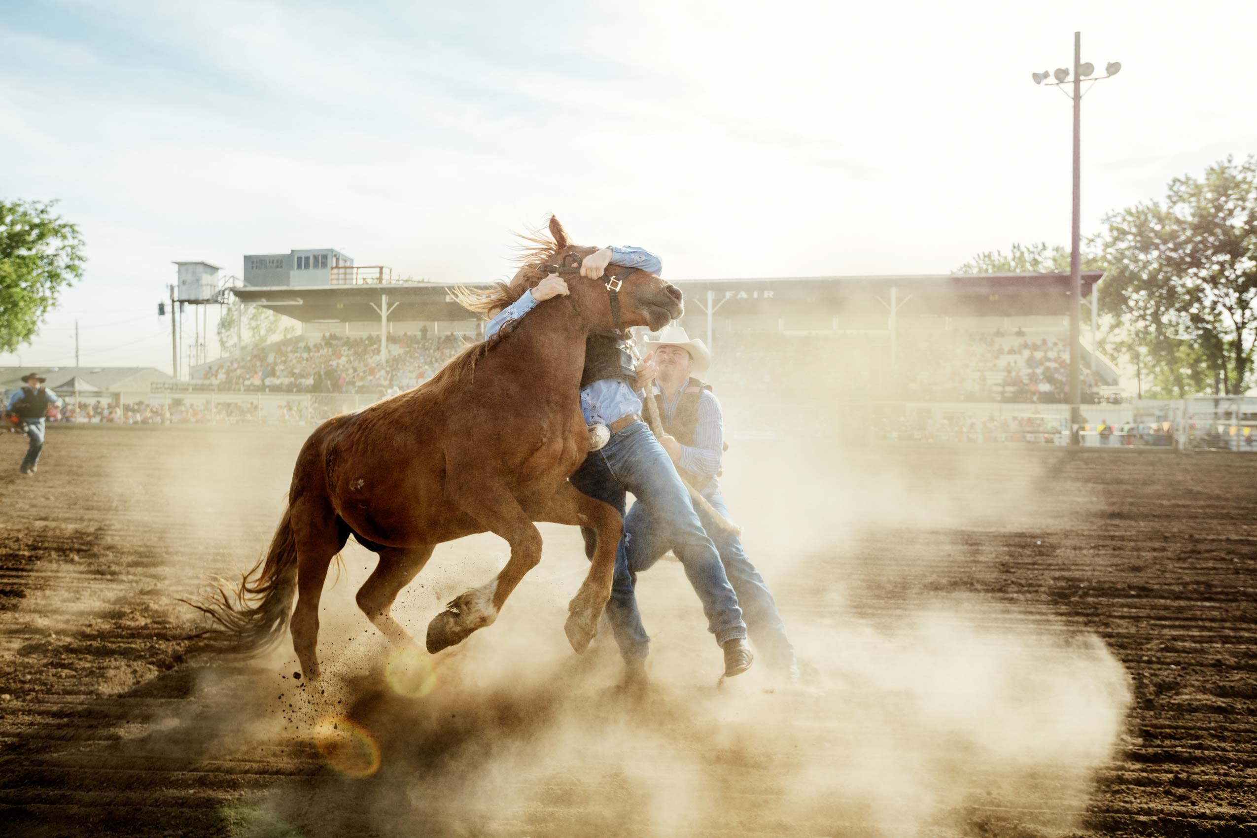 02_MilesCityBuckingHorse