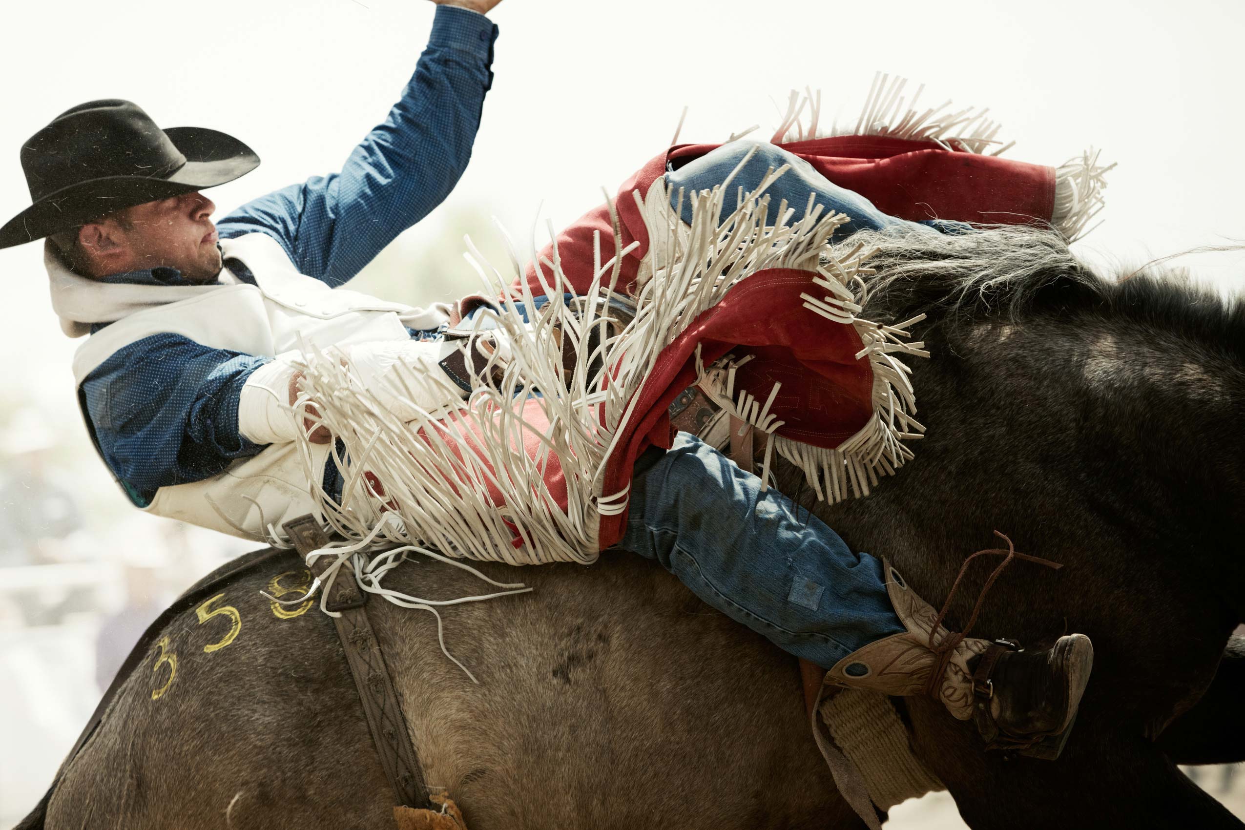 03_MilesCityBuckingHorse